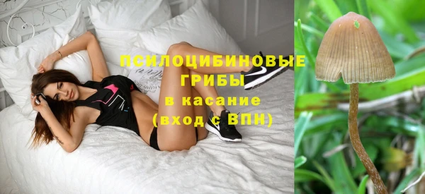 сатива Верхнеуральск