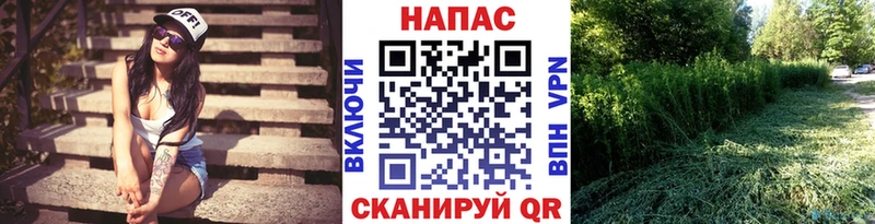 Каннабис гибрид  Купить где  Певек 
